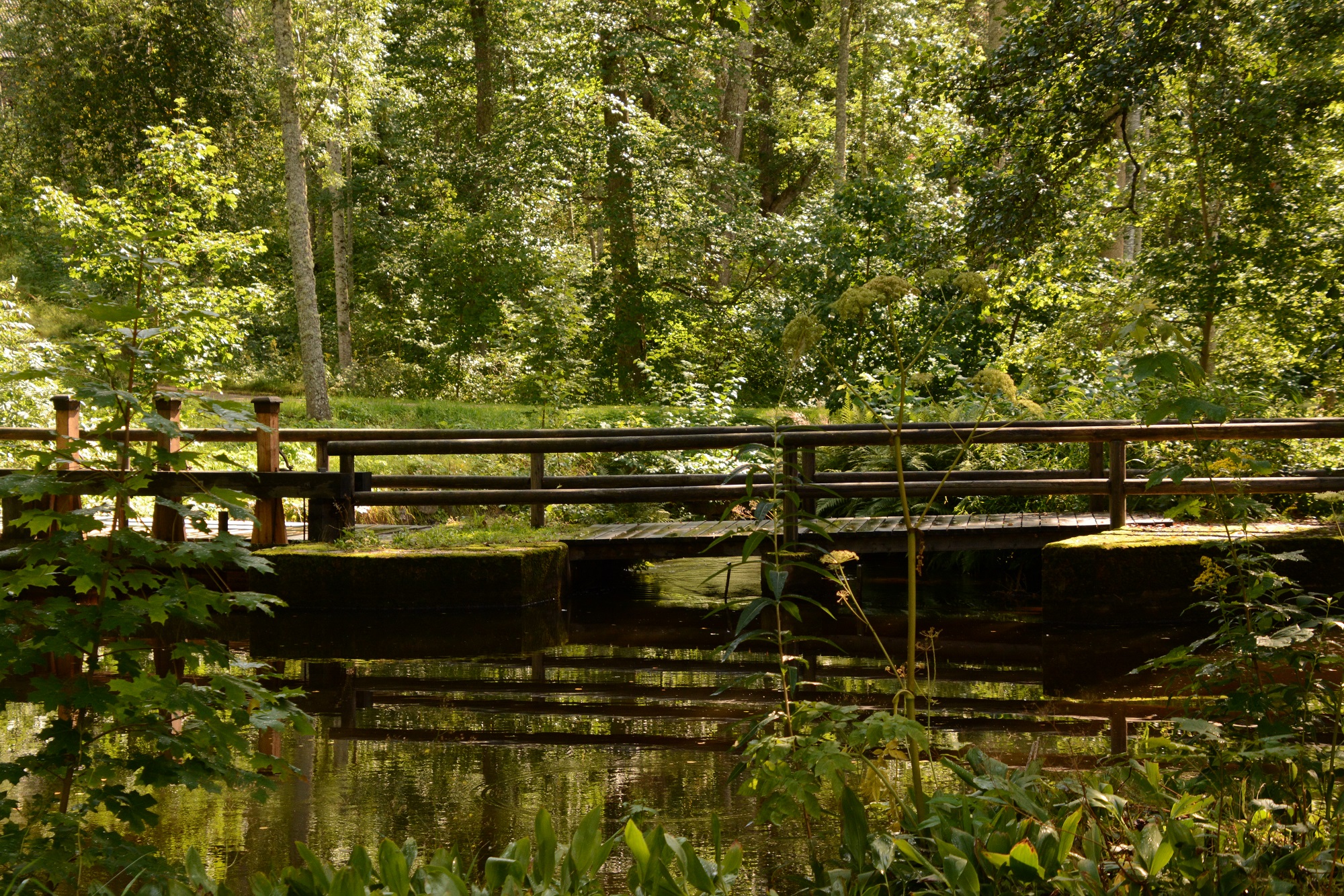 geke kloosterhof coaching in de natuur