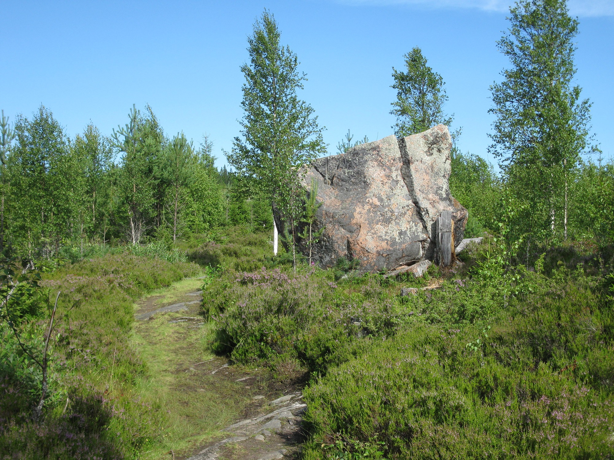 geke kloosterhof coaching in de natuur